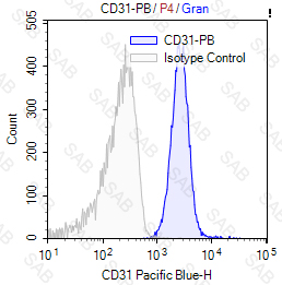 Pacific Blue anti-human CD31