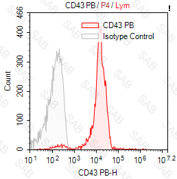 Pacific Blue anti-human CD43