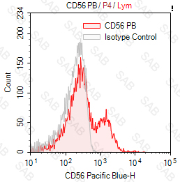 Pacific Blue anti-human CD56