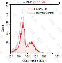 Pacific Blue anti-human CD56