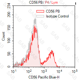 Pacific Blue anti-human CD56