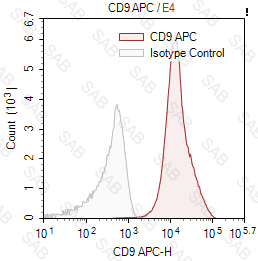 APC anti-human CD9