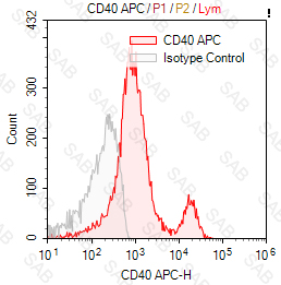 APC anti-human CD40