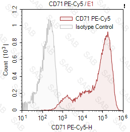 PE-Cy5 anti-human CD71