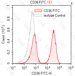 FITC anti-human CD36