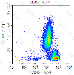 FITC anti-human CD45