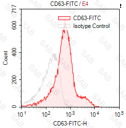 FITC anti-human CD63