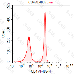 Alexa Fluor 488 anti-human CD4