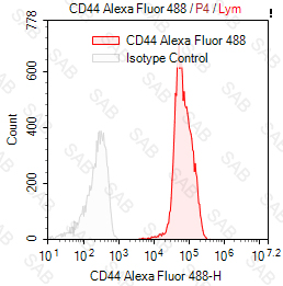 Alexa Fluor 488 anti-human CD44