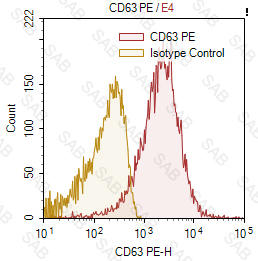 PE anti-human CD63