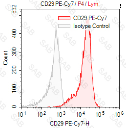 PE-Cy7 anti-human CD29