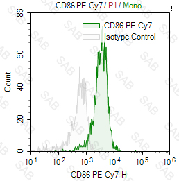 PE-Cy7 anti-human CD86