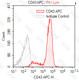 APC anti-human CD43