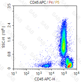 APC anti-human CD45