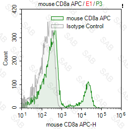 APC anti-mouse CD8a