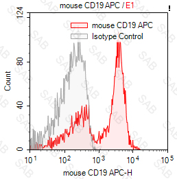 APC anti-mouse CD19