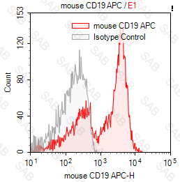 APC anti-mouse CD19