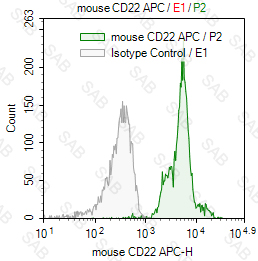 APC anti-mouse CD22