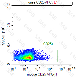 APC anti-mouse CD25