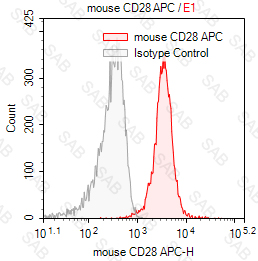 APC anti-mouse CD28