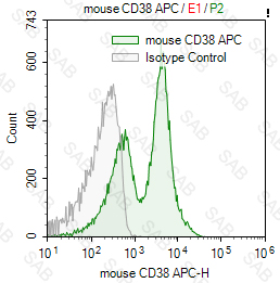 APC anti-mouse CD38