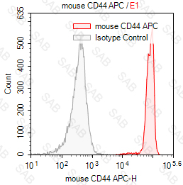 APC anti-mouse CD44