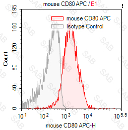 APC anti-mouse CD80