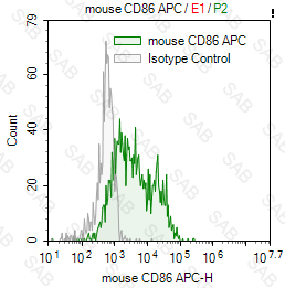 APC anti-mouse CD86