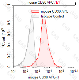 APC anti-mouse CD90