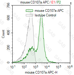 APC anti-mouse CD107a