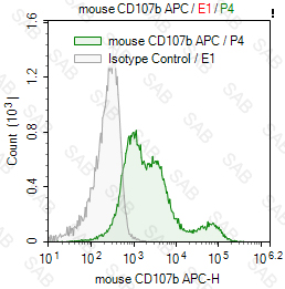 APC anti-mouse CD107b