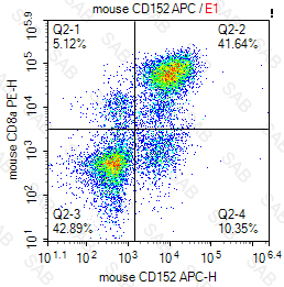 APC anti-mouse CD152