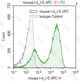 APC anti-mouse I-A/I-E