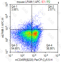 APC anti-mouse LPAM-1