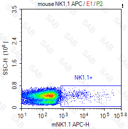 APC anti-mouse NK1.1