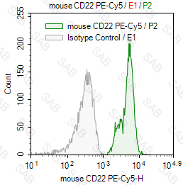 PE-Cy5 anti-mouse CD22