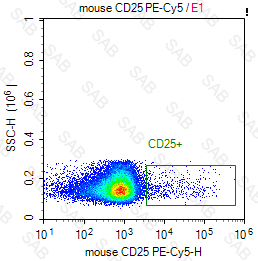 PE-Cy5 anti-mouse CD25