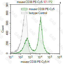 PE-Cy5 anti-mouse CD38