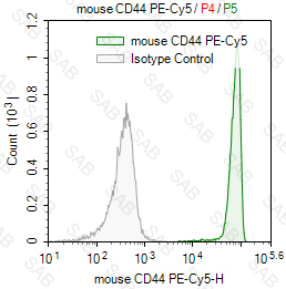 PE-Cy5 anti-mouse CD44