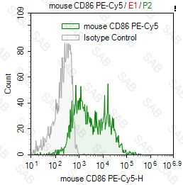 PE-Cy5 anti-mouse CD86