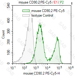 PE-Cy5 anti-mouse CD90.2