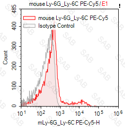 PE-Cy5 anti-mouse Ly-6G/Ly-6C