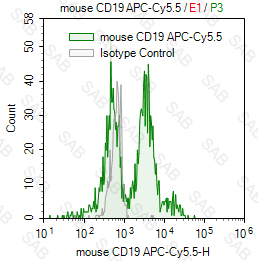 APC-Cy5.5 anti-mouse CD19