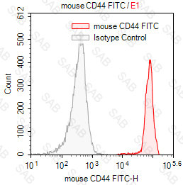 FITC anti-mouse CD44