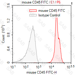 FITC anti-mouse CD45