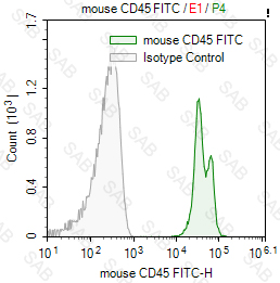 FITC anti-mouse CD45