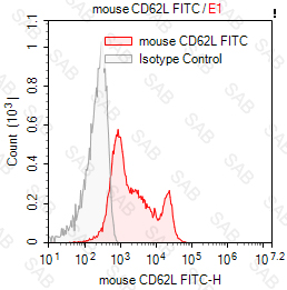 FITC anti-mouse CD62L