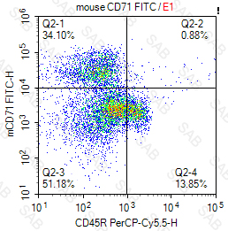 FITC anti-mouse CD71