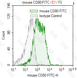 FITC anti-mouse CD80