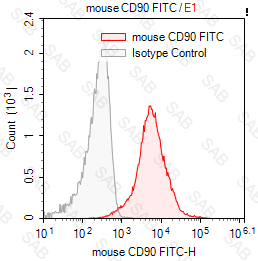 FITC anti-mouse CD90